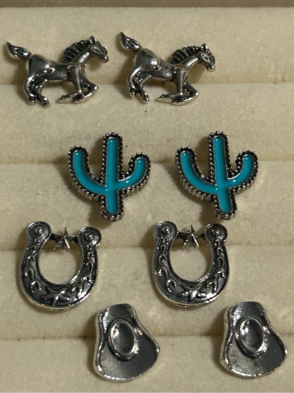 Western Charm Earring Set
